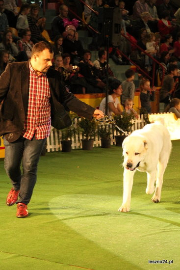 Samar zwyciężył w Trapezie (zdjęcia)