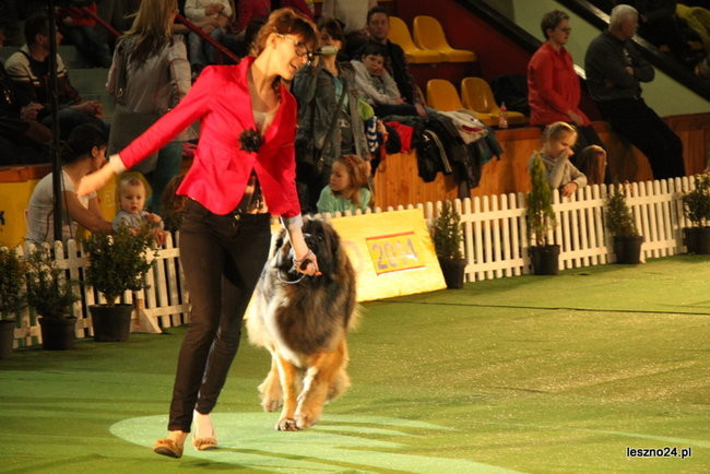 Samar zwyciężył w Trapezie (zdjęcia)