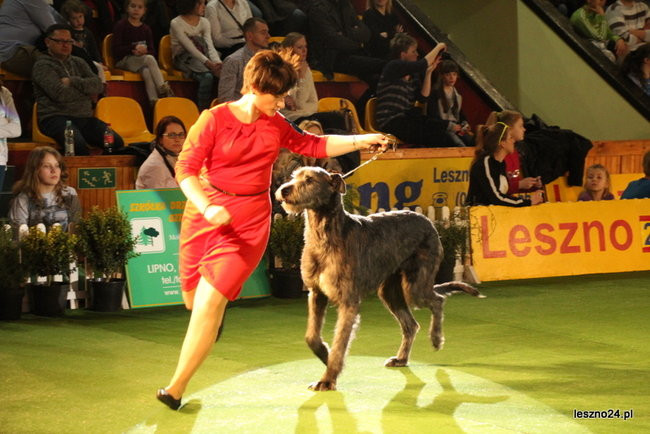 Samar zwyciężył w Trapezie (zdjęcia)