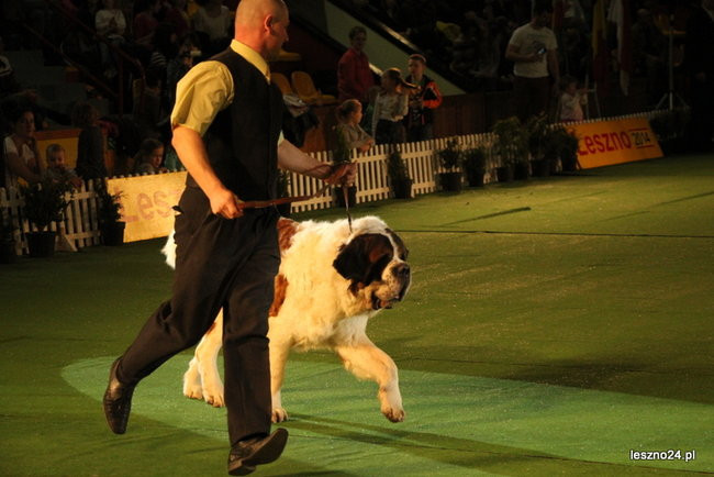 Samar zwyciężył w Trapezie (zdjęcia)