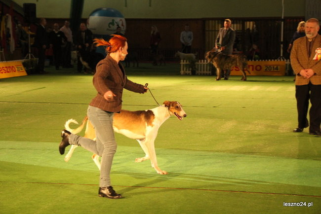 Samar zwyciężył w Trapezie (zdjęcia)