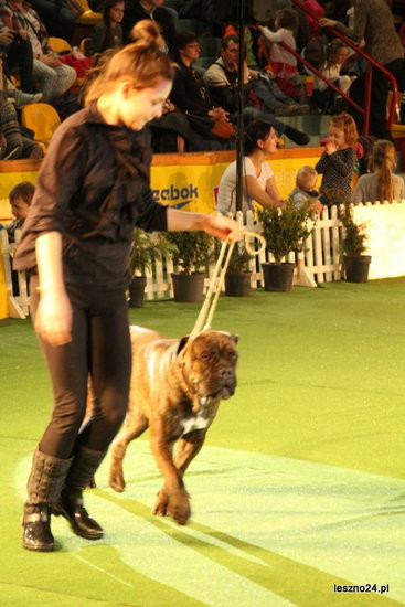 Samar zwyciężył w Trapezie (zdjęcia)