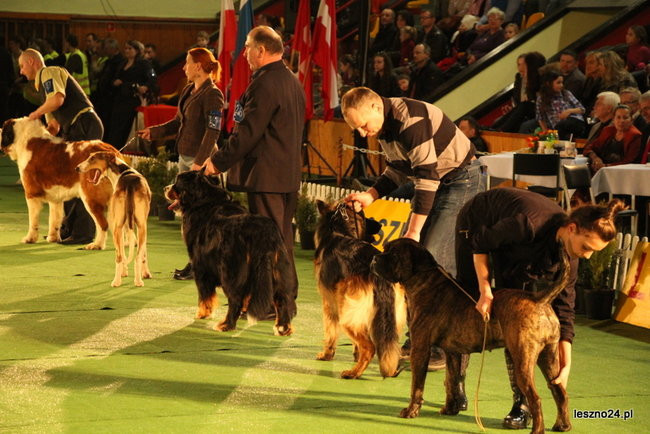 Samar zwyciężył w Trapezie (zdjęcia)