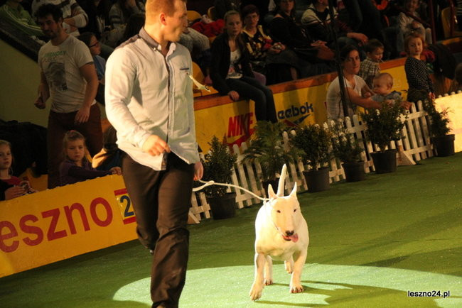 Samar zwyciężył w Trapezie (zdjęcia)