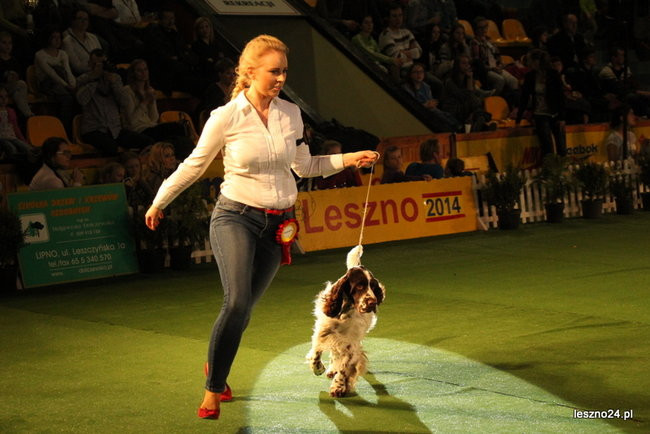 Samar zwyciężył w Trapezie (zdjęcia)