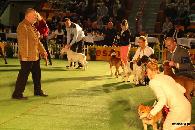 Samar zwyciężył w Trapezie (zdjęcia)