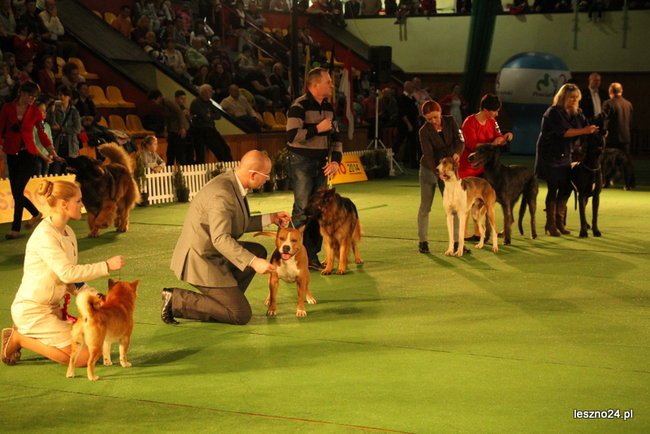 Samar zwyciężył w Trapezie (zdjęcia)