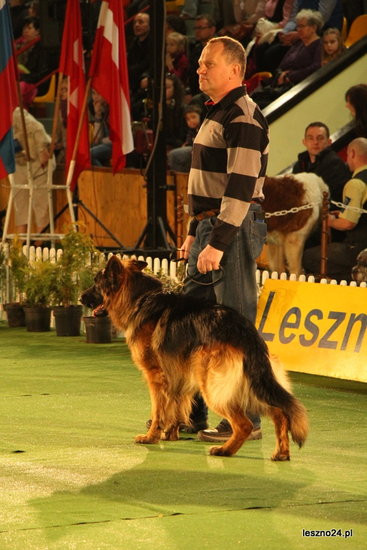 Samar zwyciężył w Trapezie (zdjęcia)