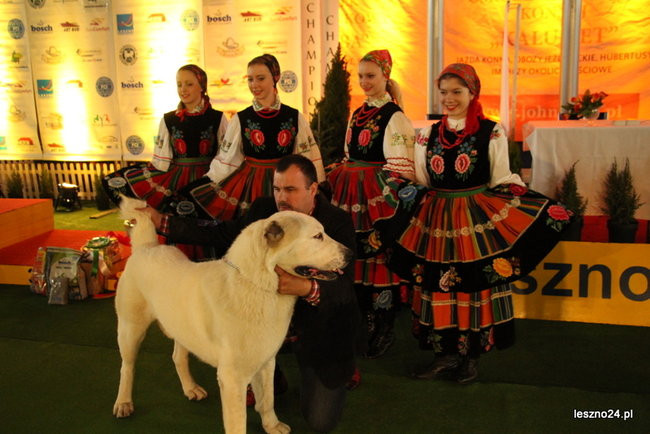 Samar zwyciężył w Trapezie (zdjęcia)