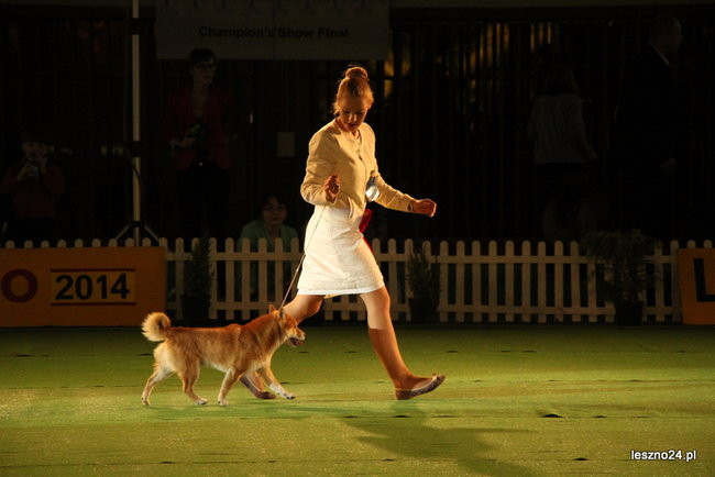 Samar zwyciężył w Trapezie (zdjęcia)