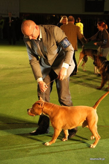 Samar zwyciężył w Trapezie (zdjęcia)