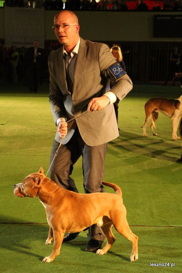 Samar zwyciężył w Trapezie (zdjęcia)