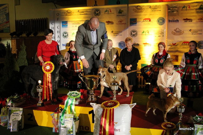 Samar zwyciężył w Trapezie (zdjęcia)