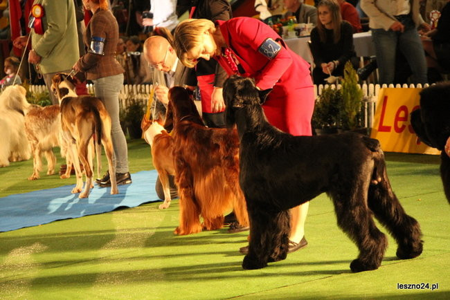 Samar zwyciężył w Trapezie (zdjęcia)