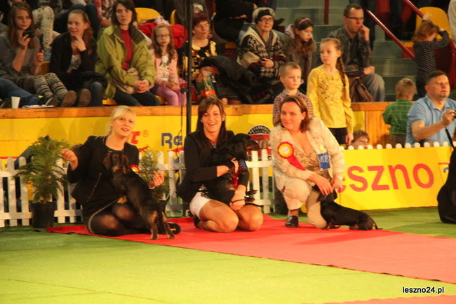 Samar zwyciężył w Trapezie (zdjęcia)