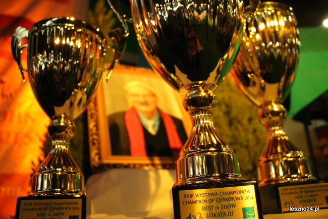 Samar zwyciężył w Trapezie (zdjęcia)