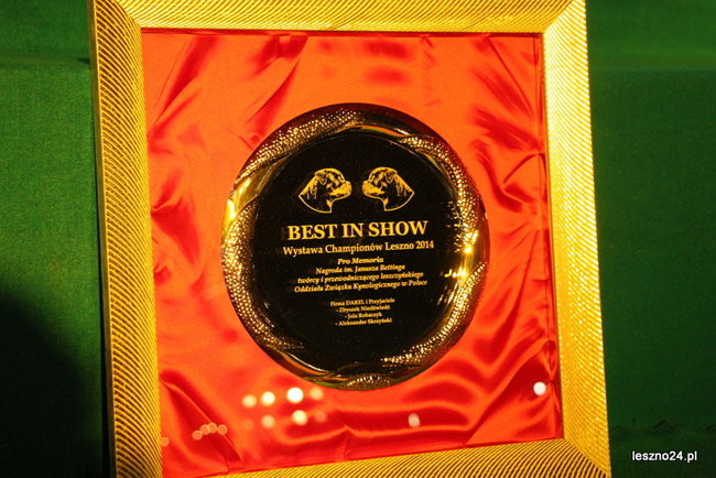 Samar zwyciężył w Trapezie (zdjęcia)