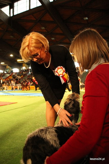 Samar zwyciężył w Trapezie (zdjęcia)