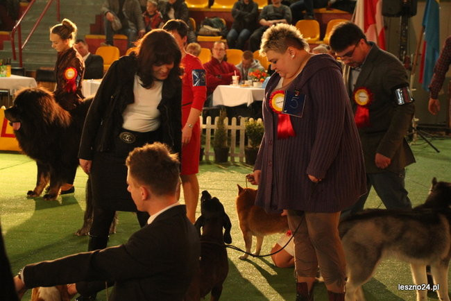 Samar zwyciężył w Trapezie (zdjęcia)