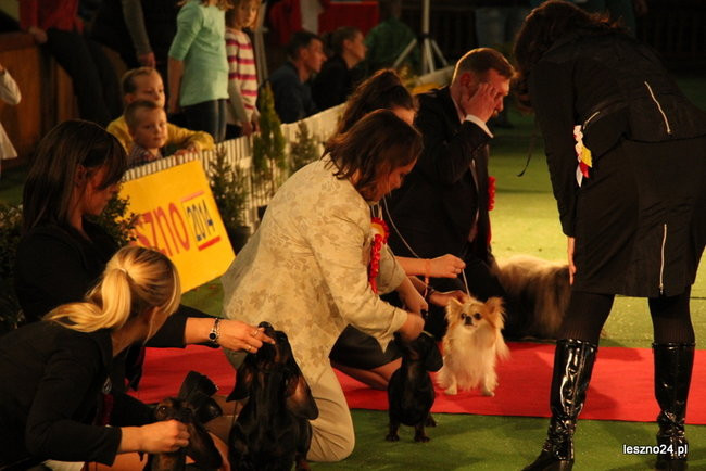 Samar zwyciężył w Trapezie (zdjęcia)