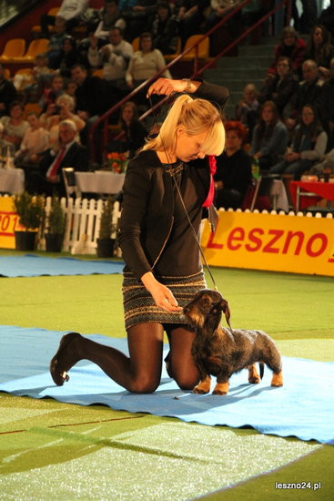 Samar zwyciężył w Trapezie (zdjęcia)