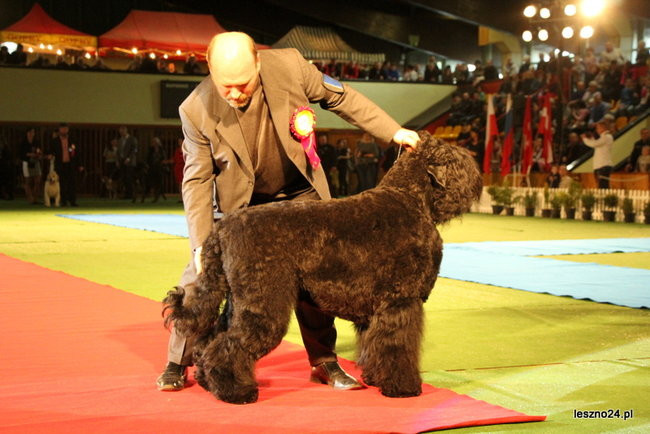 Samar zwyciężył w Trapezie (zdjęcia)