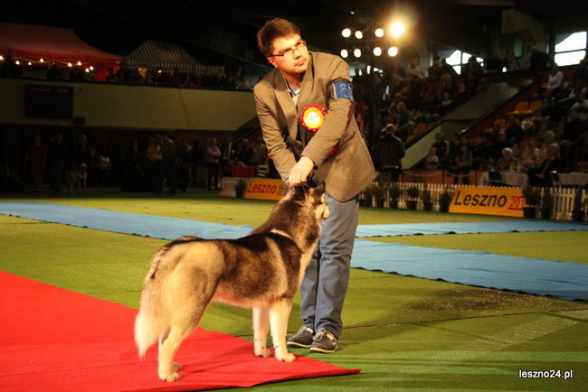 Samar zwyciężył w Trapezie (zdjęcia)