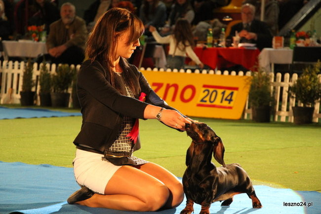 Samar zwyciężył w Trapezie (zdjęcia)