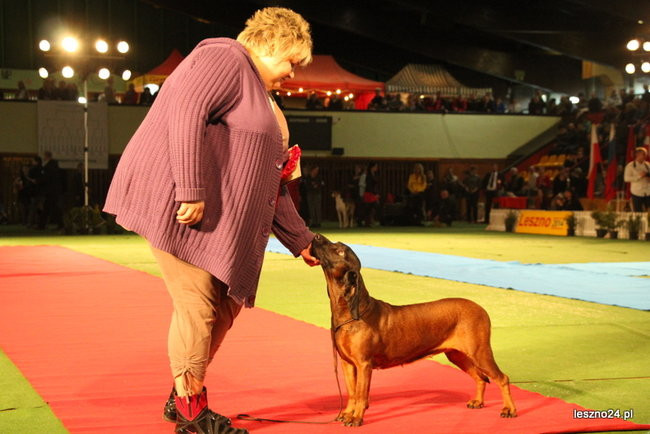 Samar zwyciężył w Trapezie (zdjęcia)