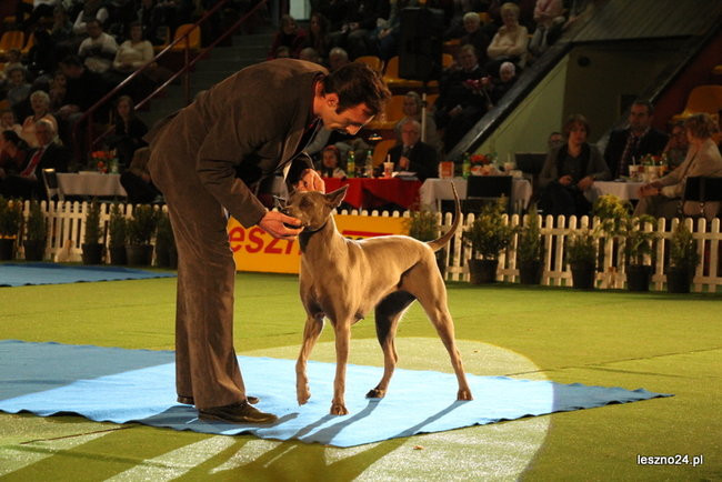Samar zwyciężył w Trapezie (zdjęcia)