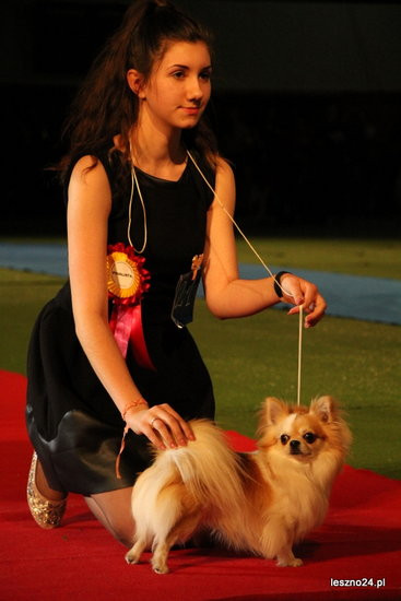 Samar zwyciężył w Trapezie (zdjęcia)