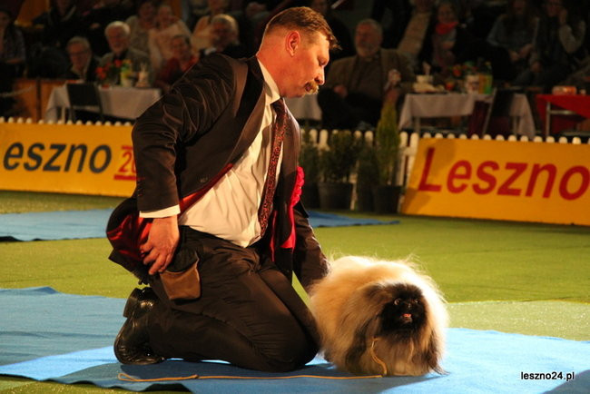 Samar zwyciężył w Trapezie (zdjęcia)