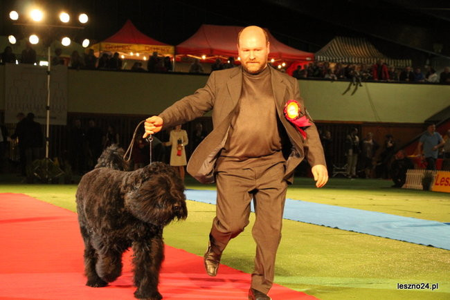 Samar zwyciężył w Trapezie (zdjęcia)