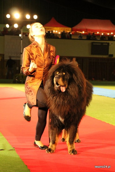 Samar zwyciężył w Trapezie (zdjęcia)