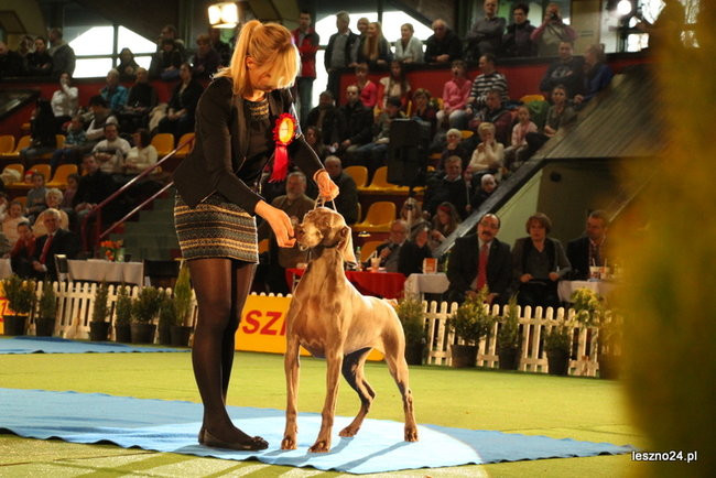 Samar zwyciężył w Trapezie (zdjęcia)