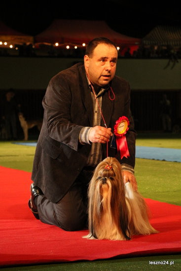 Samar zwyciężył w Trapezie (zdjęcia)