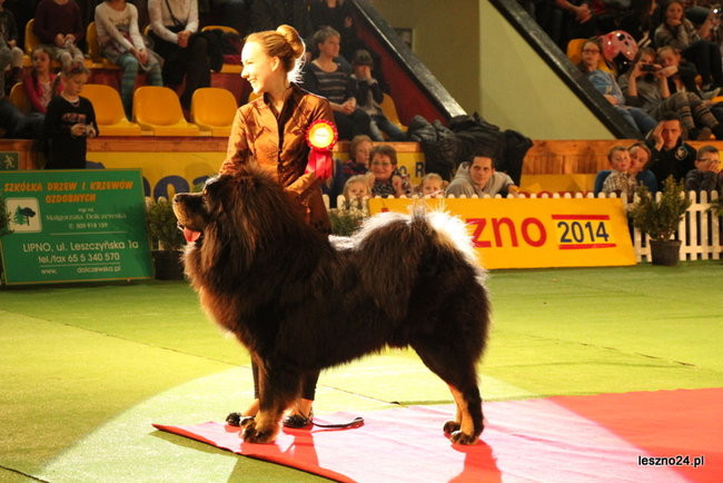 Samar zwyciężył w Trapezie (zdjęcia)