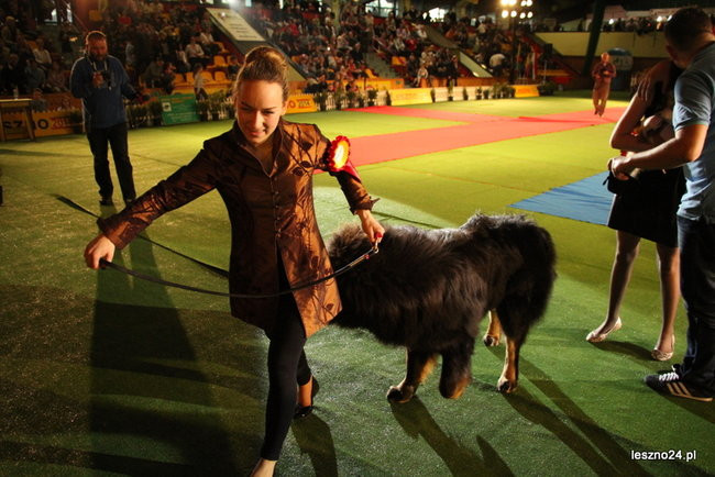 Samar zwyciężył w Trapezie (zdjęcia)