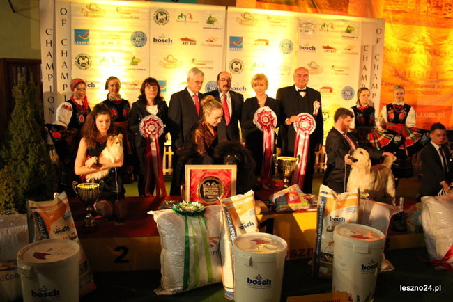 Samar zwyciężył w Trapezie (zdjęcia)