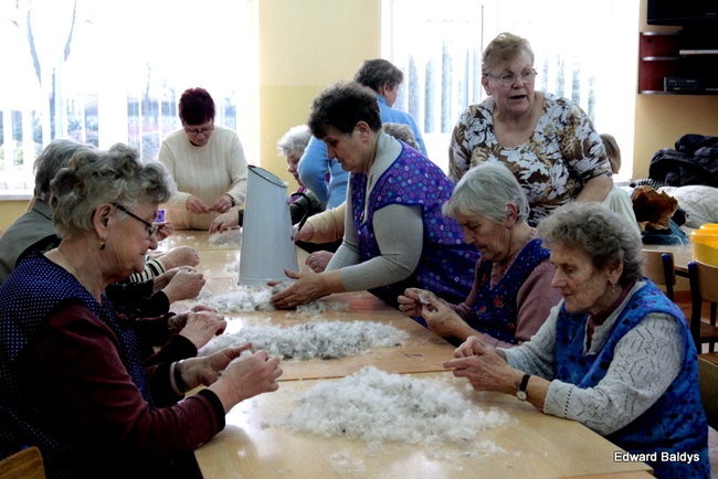 Darcie pierza w Kąkolewie (zdjęcia)