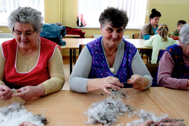 Darcie pierza w Kąkolewie (zdjęcia)