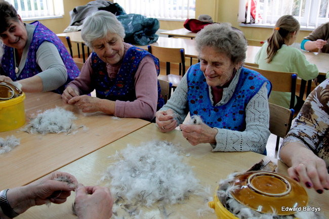 Darcie pierza w Kąkolewie (zdjęcia)