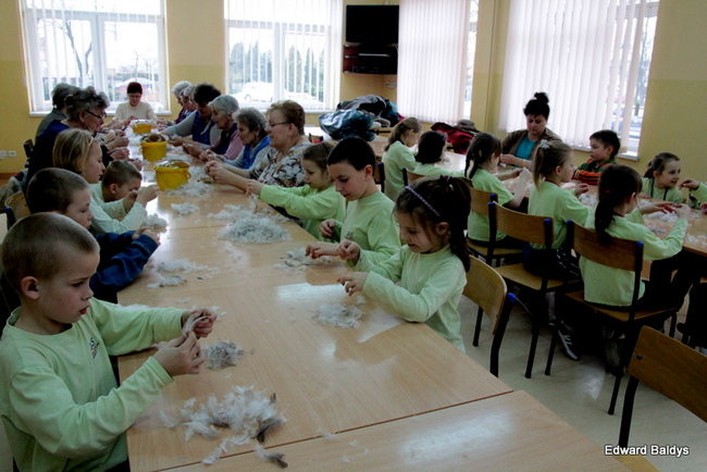 Darcie pierza w Kąkolewie (zdjęcia)