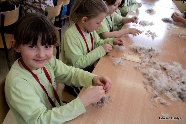 Darcie pierza w Kąkolewie (zdjęcia)