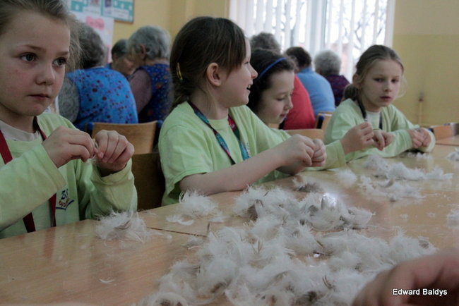 Darcie pierza w Kąkolewie (zdjęcia)