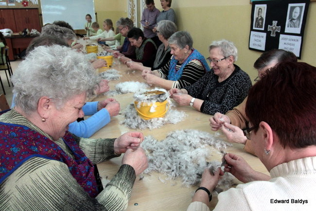 Darcie pierza w Kąkolewie (zdjęcia)