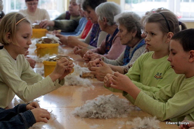 Darcie pierza w Kąkolewie (zdjęcia)