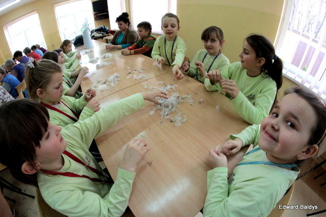 Darcie pierza w Kąkolewie (zdjęcia)