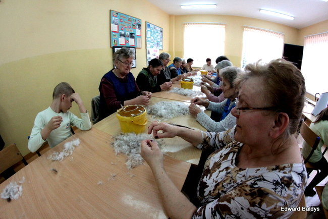 Darcie pierza w Kąkolewie (zdjęcia)