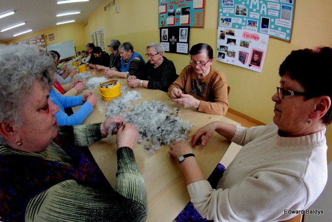 Darcie pierza w Kąkolewie (zdjęcia)